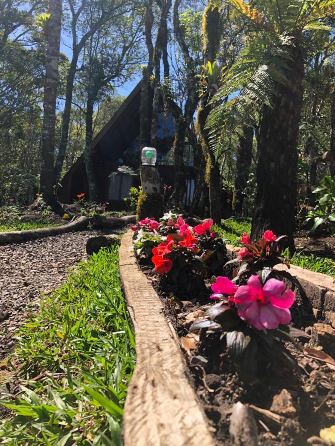 A Cabana Sao Chico São Francisco de Paula Exterior foto